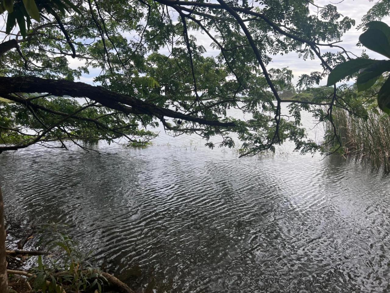 Hotel Sobana Lake Front Udawalawe Kültér fotó