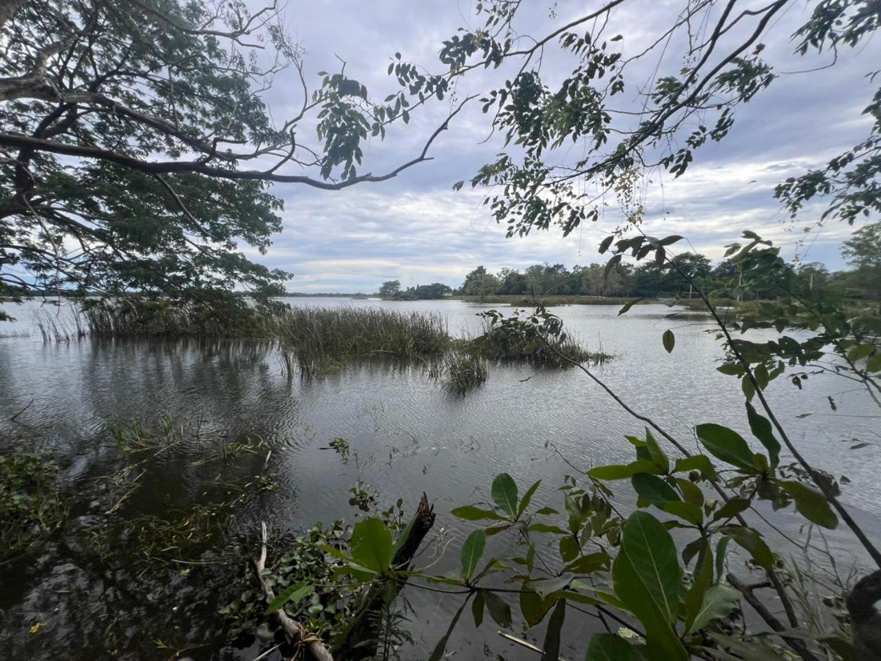 Hotel Sobana Lake Front Udawalawe Kültér fotó